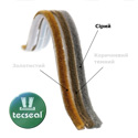 ٳ��� ��� ���� Tecseal, SP 4.8�6-3ptl, ����